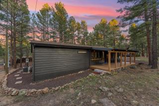 Charming Pines Cabin with Fireplace and BBQ - 5