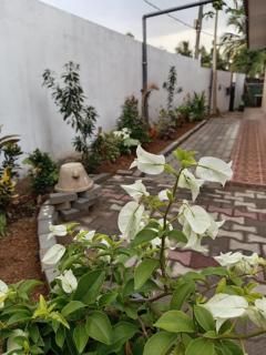 Spacious family holiday Home Near Airport, JAELA, Aussie holiday home - 6