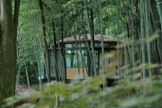 Qingcheng Mountain Jiuxipo · Mountain Stream Bamboo Forest Private Hot Spring Homestay - 3
