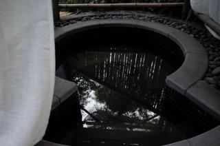 Qingcheng Mountain Jiuxipo · Mountain Stream Bamboo Forest Private Hot Spring Homestay - 7