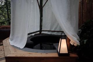 Qingcheng Mountain Jiuxipo · Mountain Stream Bamboo Forest Private Hot Spring Homestay - 2