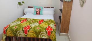 DREAMY cosy 2bhk, Just 6 mins to Whitetown and Beach EMERALD - 1