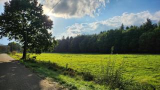 Ferienwohnung FeWo Plaggenburg - Das Familienreich - 0