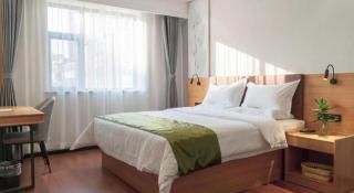 GreenTree Inn Express Datong High-Speed Railway Station Old City Wall - 8