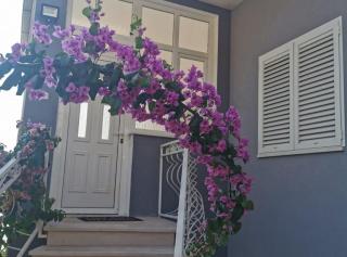 Apartments Bilić Trogir - 7