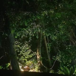 Budget Room By Green House Resort - 1