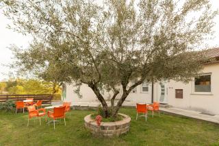 Serene Retreat Apartments - 1