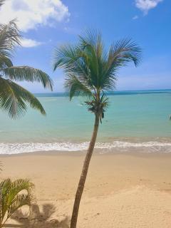 Cabarete Beach Palace 3-BDR Condo - 6