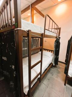 chill&dive hostel - 4