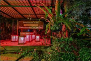 Tamsabai Resort - Chumphon - 8