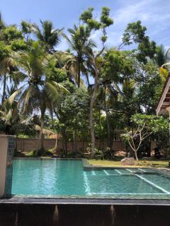 Casa Del Ceylon - 1