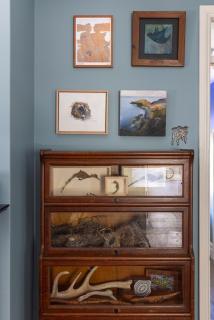 Chester Cottage - Design Haven in Castlemaine - 5