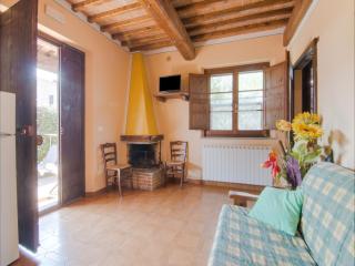 Holiday home in Castiglione del with pool - 4