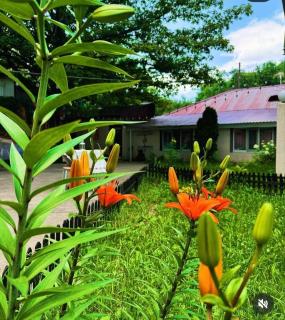 Ethno adventure camp Hostel - 6