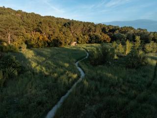 Suites Immersion au Mas des Prêcheurs - 7