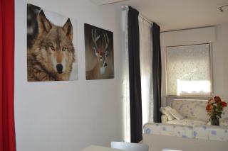 Casa Morena - - 5
