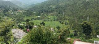 Mehta homestay stay balta Almora - 7