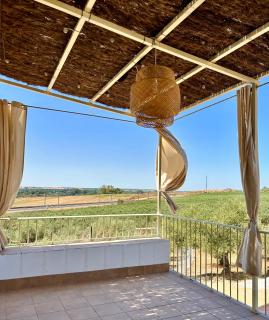 Casa Caraza. Un olivar con vistas al castillo de Juego de Tronos - 4