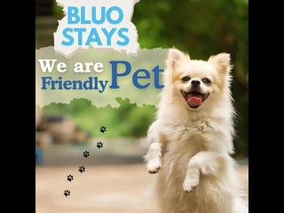 BluO 3BHK Green Park, Private Garden Lift - Balcony - 4