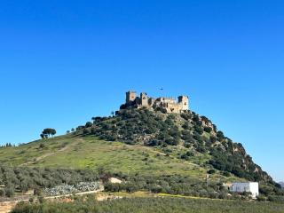 Casa Caraza. Un olivar con vistas al castillo de Juego de Tronos - 3