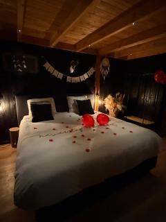 Casa aan de Plas, B&B met sauna en hottub of jacuzzi - 8
