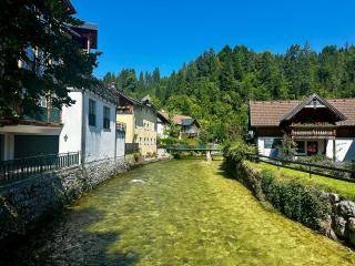 Design Apartment Bad Aussee - 1