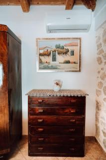 Olive Roots - 9