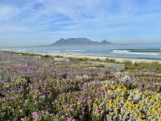 Seascape - 8