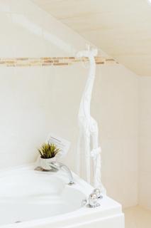 Studio comfort - 6