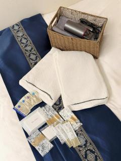 Hotel Plaisir Akihabara - 2