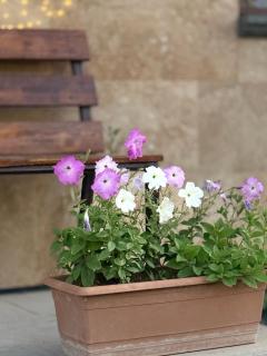 Siran Guest House - 7