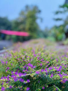 Vayalil Homestay - 1