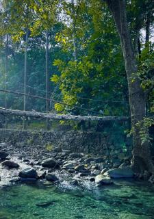 Vayalil Homestay - 8