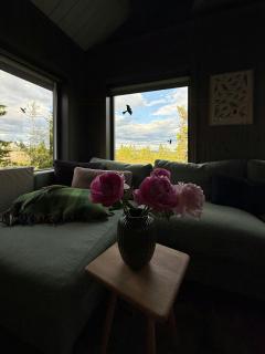 Spacious Family Cabin Near Sjusjøen - 2