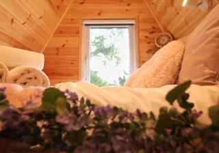 Sycamore Lodge with Hot Tub- Quirky & Romantic - 9
