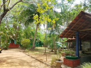 Eco Nature Rest - 5