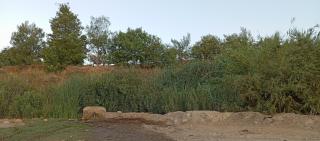 Maison des vacancies,repos et relaxation - 6