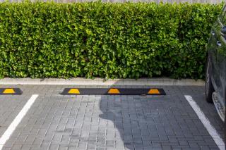 Chic Riccarton Stay with Parking, Outdoor Space - 3
