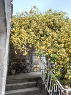 Chez l'Oncle - 7