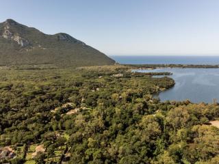 Holiday Home La casina nel bosco by Interhome - 1