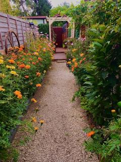 Alice’s Garden @ Bleak House Farm - 8