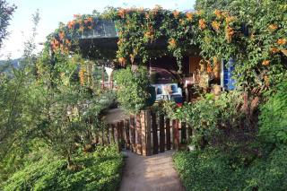 Hillside Thrilling Tiny House - 7