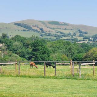 Alpaca cabin-mountain view-hot tub-rural retreat - 3