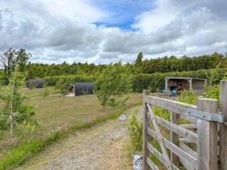 The Hedgehog Pod - Uk50067 - 9