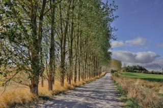 Rock Farm Slane - Glamping - 2