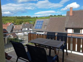 Ferienwohnung Weinbergblick - 2
