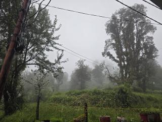 Tranquil trails home stay naddi - 9