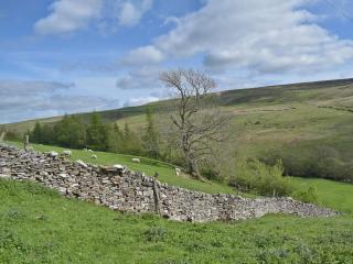 Helwith Cottage - Ukc3455 - 1
