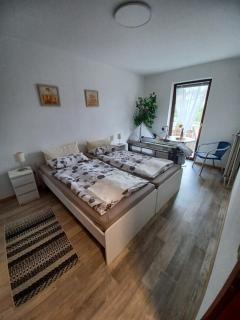 Ferienwohnung Fröhlich - 1