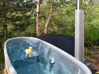 Bats About - Uk45788 - 1